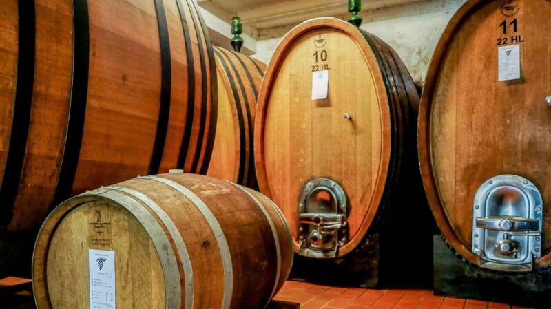 Trasimeno: Light Lunch, Oil, And Wine Experience - The Overall Experience and Practicalities