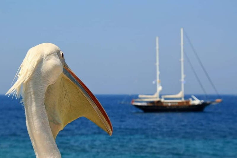 Travel from Athens to Mykonos one day - A Practical Review: What to Expect and How to Make the Most of Your Day