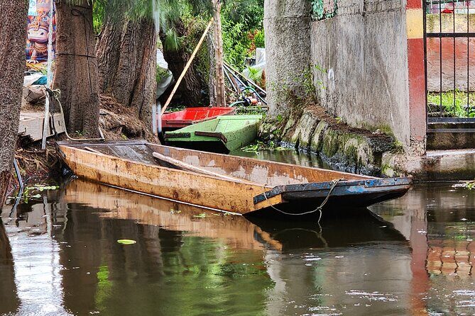 Travel in Trajineras, Mezcal Test and Guacamole Supremo - Key Points