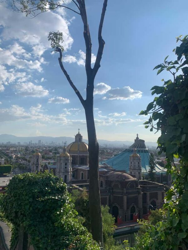 Travel through Teotihuacan, the Basilica, and enjoy a Mezcal tasting. - What Makes This Tour Stand Out?