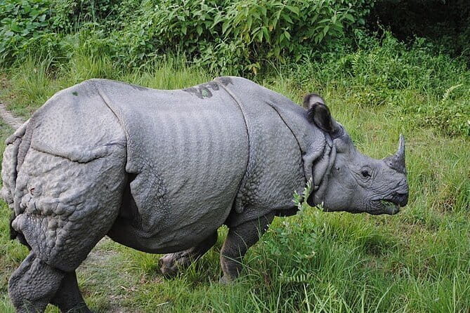 Travel to Nepal 10 days to explore the Culture and Best Views - A Detailed Look at the 10-Day Itinerary