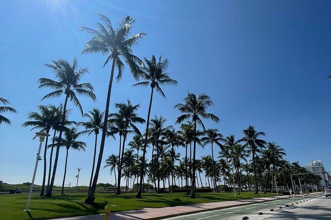 Traveler's Guide to Experience Miami 6-hour Tour - FAQ