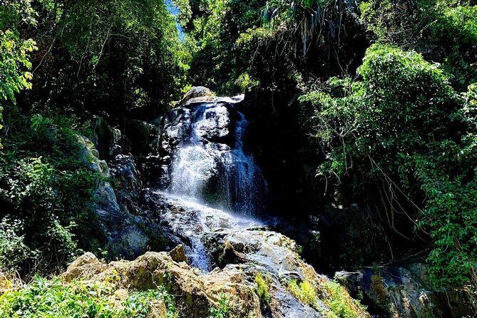 Travstore Original Samui Discovery-Shared Half Day City Tour - The Sum Up: Is It Worth It?