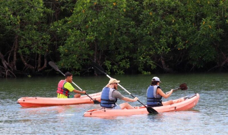 Treasure Bay Bintan Island Resort: 1-Day Entry Ticket - Exploring Treasure Bay Bintan: What You Can Expect