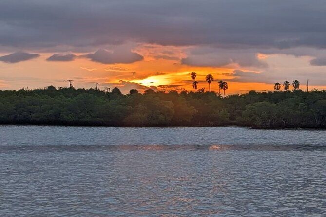 Treasure Coast Sunset Eco Tour Stuart FL - A Closer Look at the Treasure Coast Sunset Eco Tour