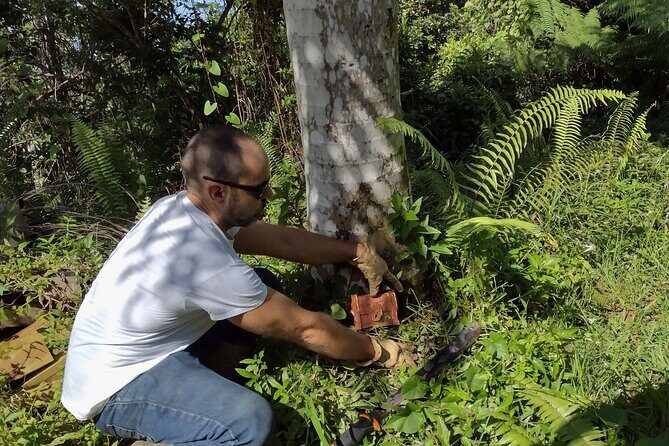 Treasure Hunt Adventure Hike and Discover Your Own Treasure - A Fun and Authentic Way to Explore Puerto Rico