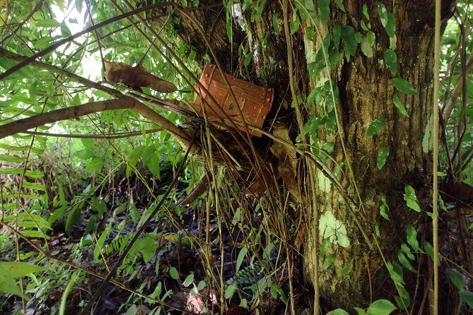 Treasure Hunt Adventure Hike and Discover Your Own Treasure - Who Should Consider This?