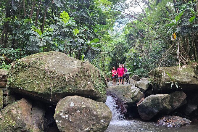 Treasure Hunt Adventure Hike and Discover Your Own Treasure - The Sum Up