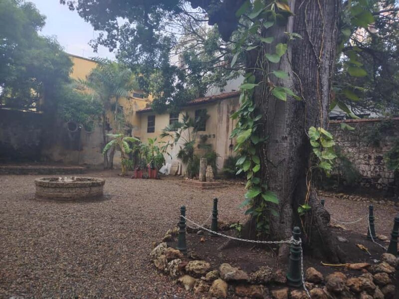 Treasures of Cartagena: Museum Expedition - A Closer Look at the Museums