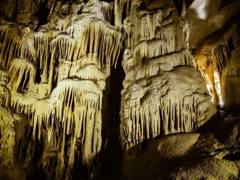 Treasures of Eastern Serbia shared tour - Who Should Consider This Tour?