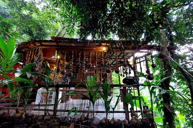 Tree Bridge Cafe And Zipline - Jungle Flight Adventure in Koh Samui - Final Thoughts