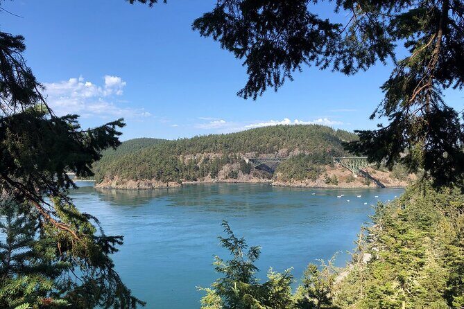 Tree Canopy Climbing on Lopez Island - Who Will Love This?