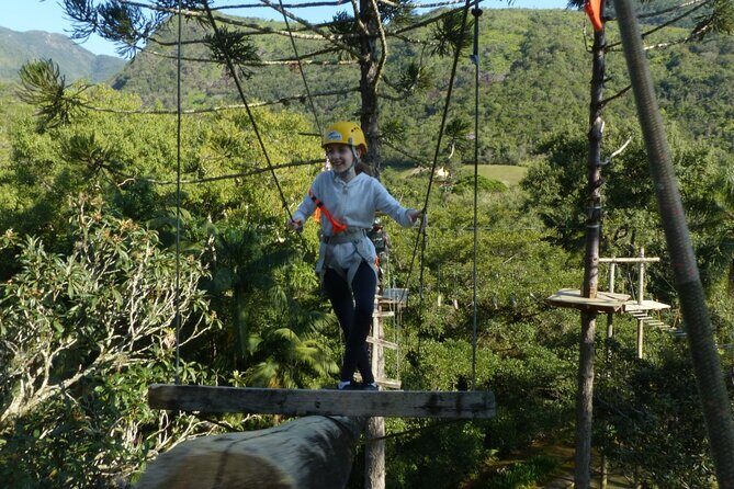 Tree climbing among the araucarias - Final Thoughts