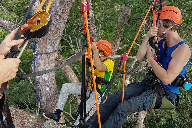 Tree Climbing in the Amazon - Exploring the Amazon from the Trees: A Climber’s Dream in Manaus