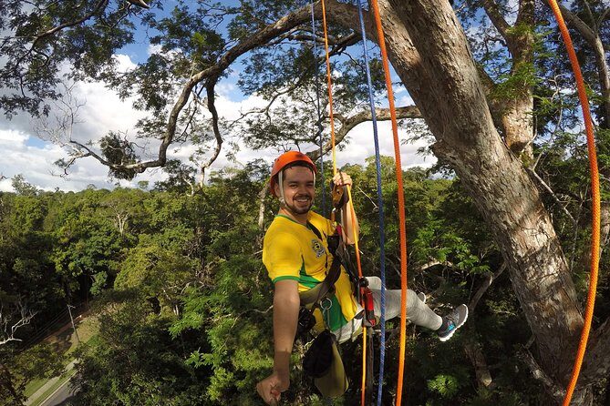 Tree Climbing in the Amazon - Key Points