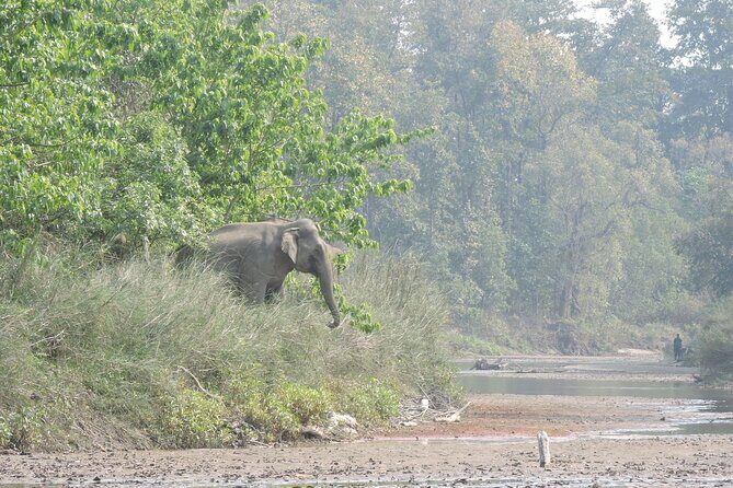 Tree House stay in Bardia National Park || 1 Night 2 Days - Key Points