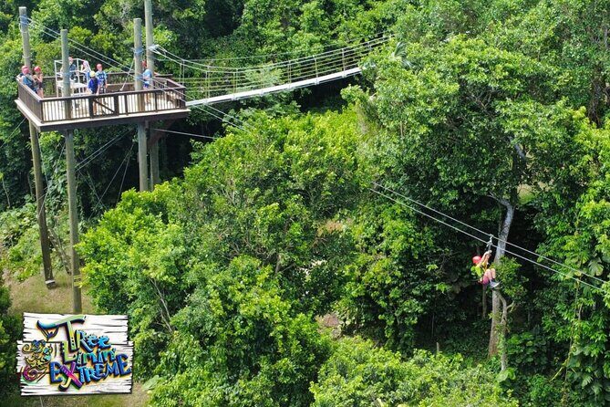 Tree Limin' Extreme Zipline - FAQs