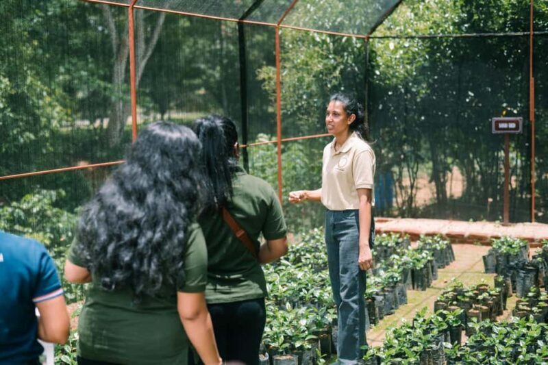 Tree of Life's Coffee Heritage Trail - Key Points