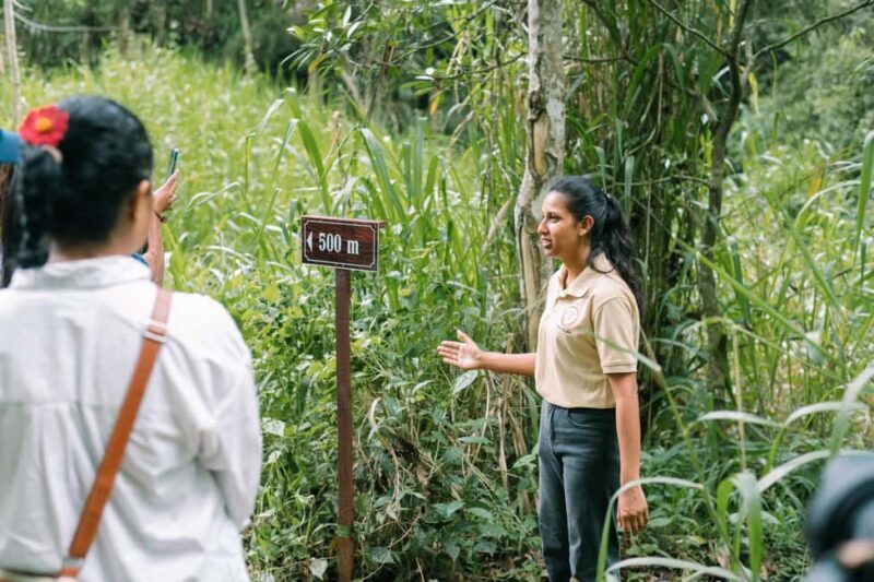 Tree of Life's Coffee Heritage Trail - An In-Depth Look at the Coffee Heritage Trail Experience