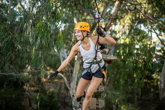 Tree Top Activity for Thrill Seekers and Adventurers in Adelaide - A Detailed Look at the TreeClimb Adelaide Experience