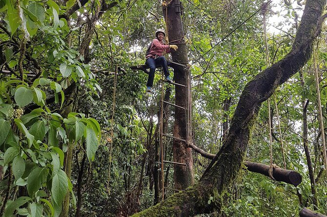 Tree Top Adventure - An In-Depth Look at the Tree Top Adventure Experience