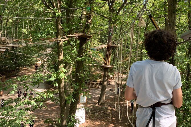 Tree Top Adventure in Forest of Meudon - A Closer Look at the Tree Top Adventure Experience