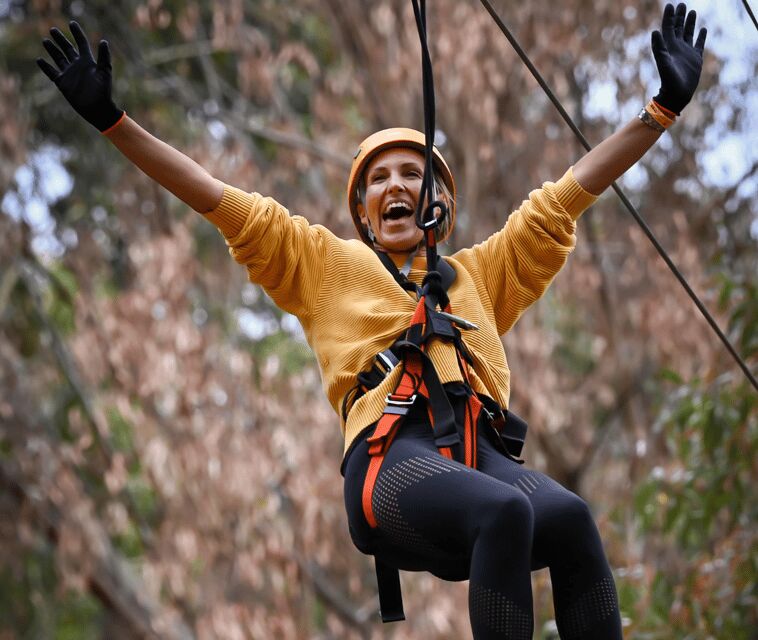 TreeClimb Kuitpo Forest: Exciting Treetop Climbing Adventure - Accessibility and Restrictions