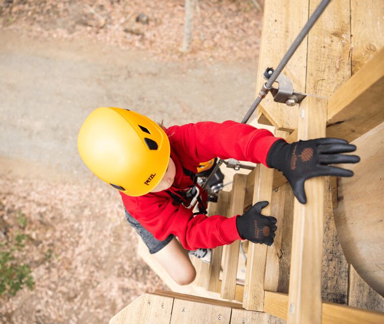 TreeClimb Kuitpo Forest: Exciting Treetop Climbing Adventure - Who Will Love It?