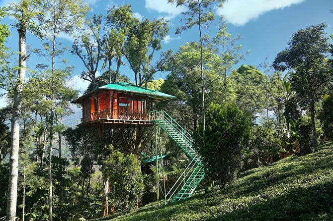 Treehouse stay in munnar - A Unique Overnight Stay in a Munnar Treehouse: What to Expect