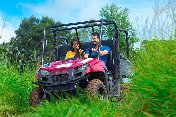 Treehouse stay in munnar - Key Points