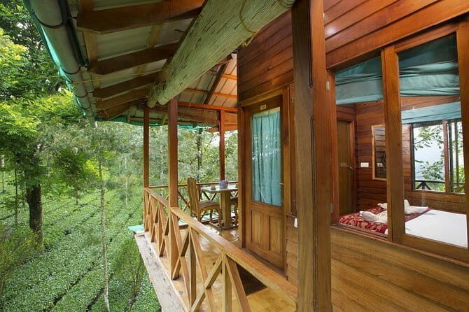 Treehouse stay in munnar - Final Thoughts
