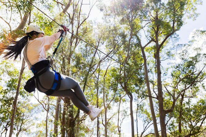 Treetop Challenge Adrenaline Pass - Treetop Challenge Adrenaline Pass: An Action-Packed Day in the Trees