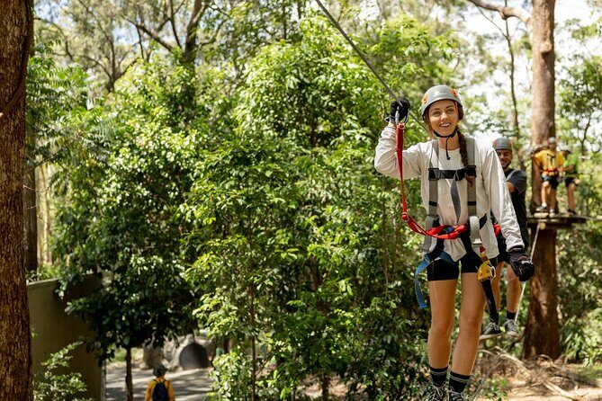 TreeTop Challenge Currumbin Wildlife Park - TreeTop Challenge Currumbin Wildlife Park: A High-Flying Adventure in the Rainforest