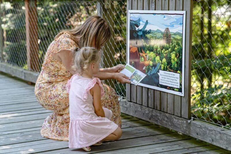 Treetop Walk Bavarian Forest: Discover the world of treetops - Exploring the Treetop Walk Bavarian Forest in Depth