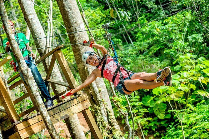 Treetop Zipline Experience From Castries - Key Points