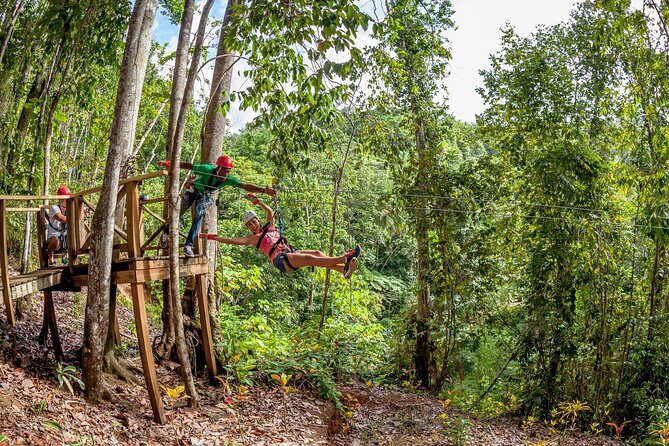 Treetop Zipline Experience From Castries - A Deep Dive into the Treetop Zipline Experience