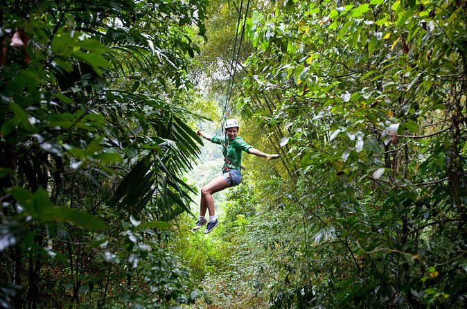 Treetop Zipline Experience From Castries - The Sum Up: Who Is This Experience Best For?
