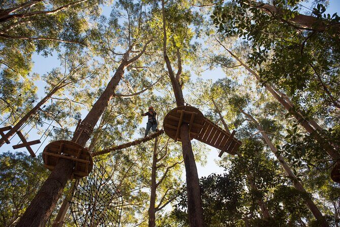 Treetops Adventure Coffs Harbour Tree Ropes Course - Frequently Asked Questions