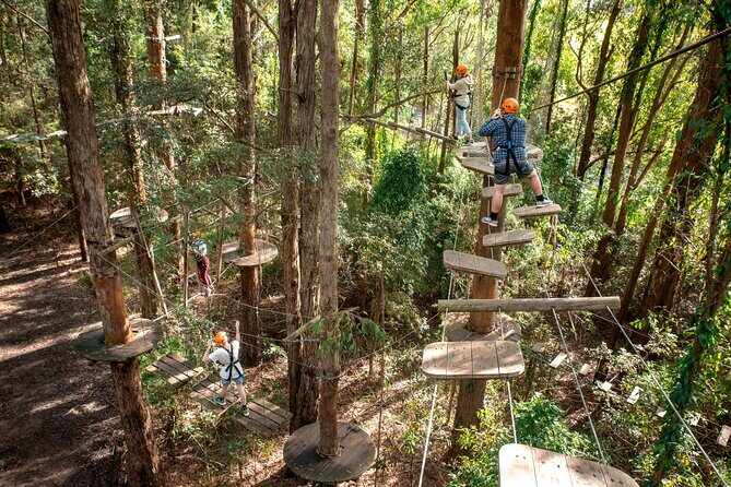Treetops Adventure Newcastle with Tree Ropes Course - Experience the Thrill of Treetops Adventure Newcastle with Tree Ropes Course