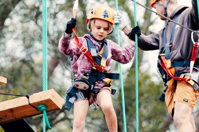 Treetops Adventure The Hills Junior Ropes Course - About the Itinerary and Experience