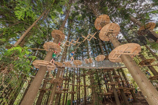 Treetops Adventure The Hills - Tree Ropes Course - Discovering Treetops Adventure The Hills: A Detailed Review