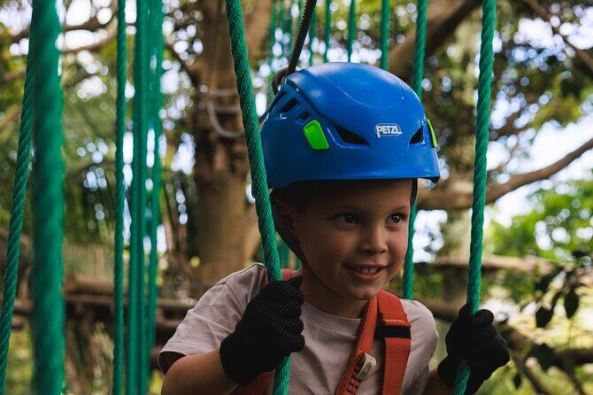 Treetops Adventures Newcastle Junior Ropes Course - Key Points