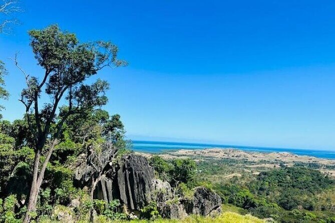 Treetops Zipline Tour with Drop off Transfer to Nadi Airport - An In-Depth Look at the Treetops Zipline Tour