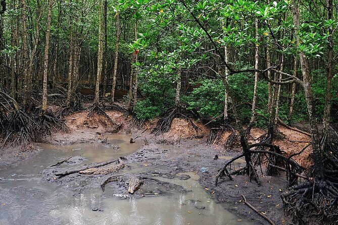 Trek Can Gio Mangrove, Monkey Island with Croc Farm & Cano Option - FAQ