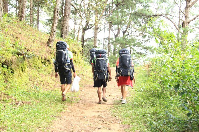 Trek On Langbian Mountain - A Deep Dive into the Trek Experience