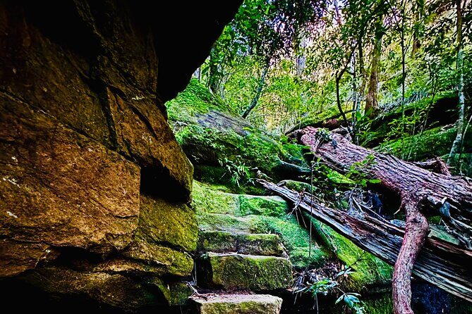 Trek Shoot and Soothe Hiking Tour from Springwood Blue Mountains - Exploring the Blue Mountains: What to Expect on the Tour