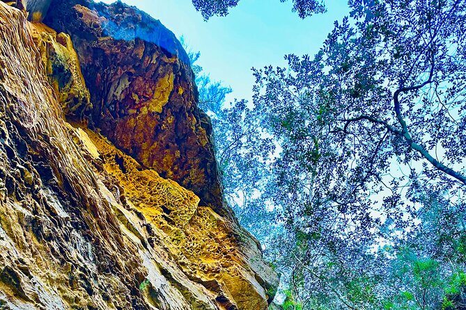 Trek Shoot and Soothe Hiking Tour from Springwood Blue Mountains - Final Thoughts: Is This Tour Right for You?