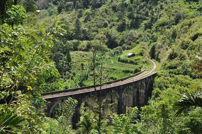 Trek to Little Adam's Peak and Nine Arches Bridge In Ella - Exploring Ella’s High Country — What You Can Expect