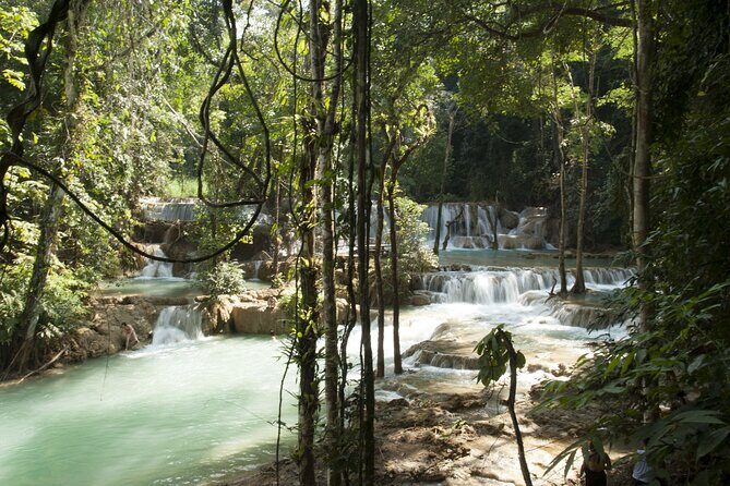 Trek to Tad Sae Waterfalls, Local Village - Final Thoughts: Who Should Consider This Experience?
