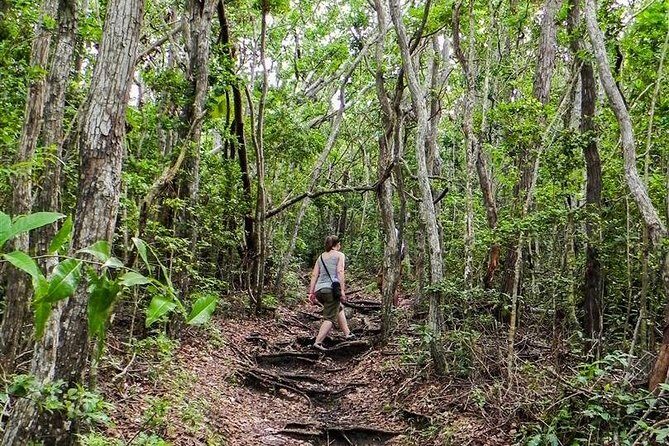 Trek Tours Hiking Experience in Antigua - FAQ